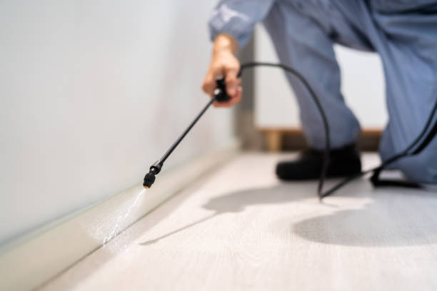Professional exterminator conducting IPM assessment in Ina